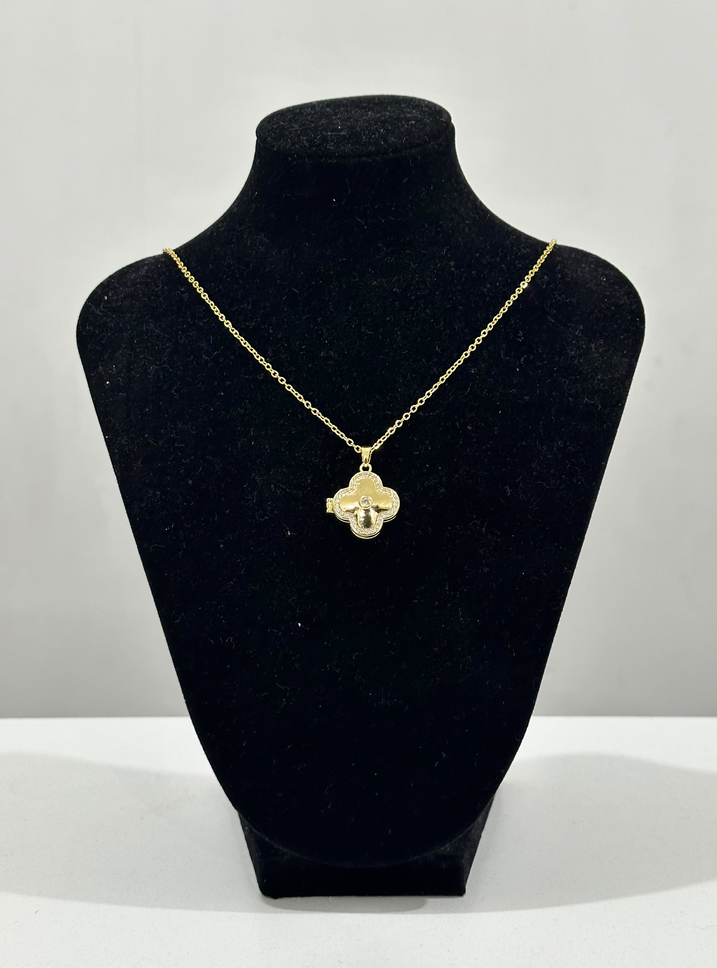 Collar Relicario Van 
